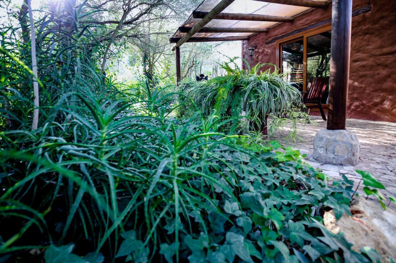 Hotel Tikal Boungalows Malcocinado  Exterior foto